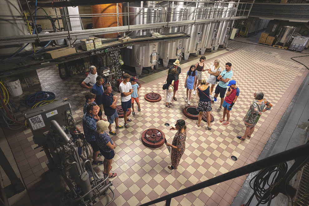 Winemaker immersion & gourmet tasting