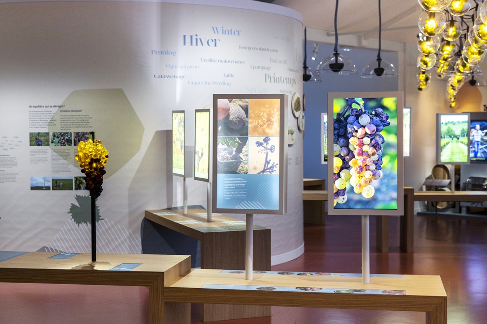 Visite libre & dégustation