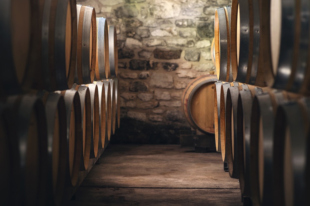 Créez votre vin – expérience vigneron d’un jour