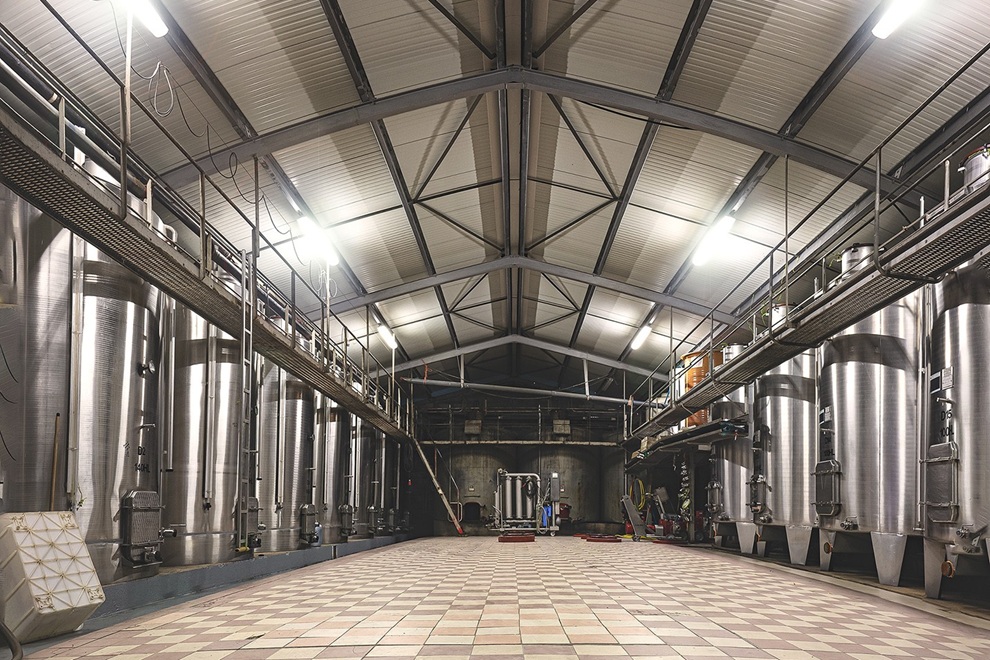 Créez votre vin – expérience vigneron d’un jour