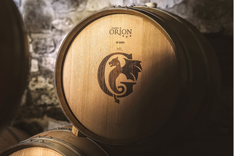 Créez votre vin – expérience vigneron d’un jour