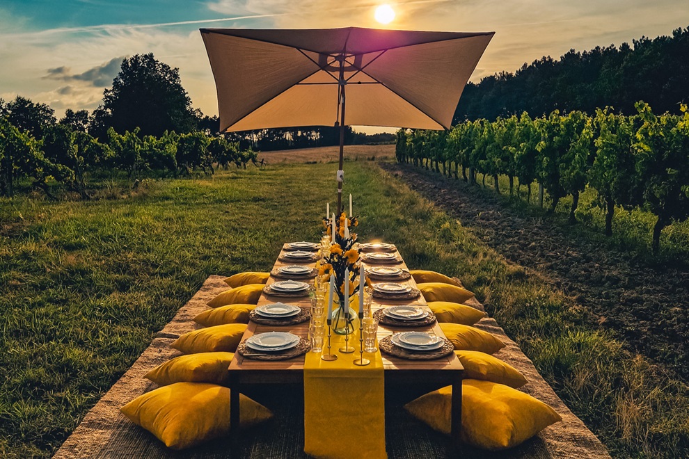 Le Temps d’un Pic Nic dans les vignes