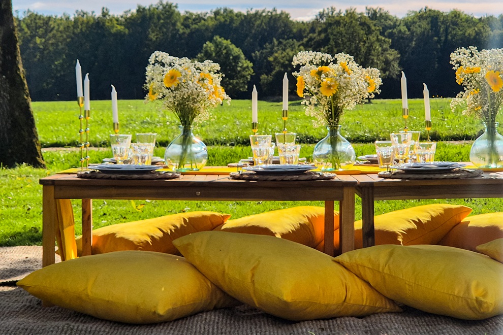 Le Temps d’un Pic Nic dans les vignes