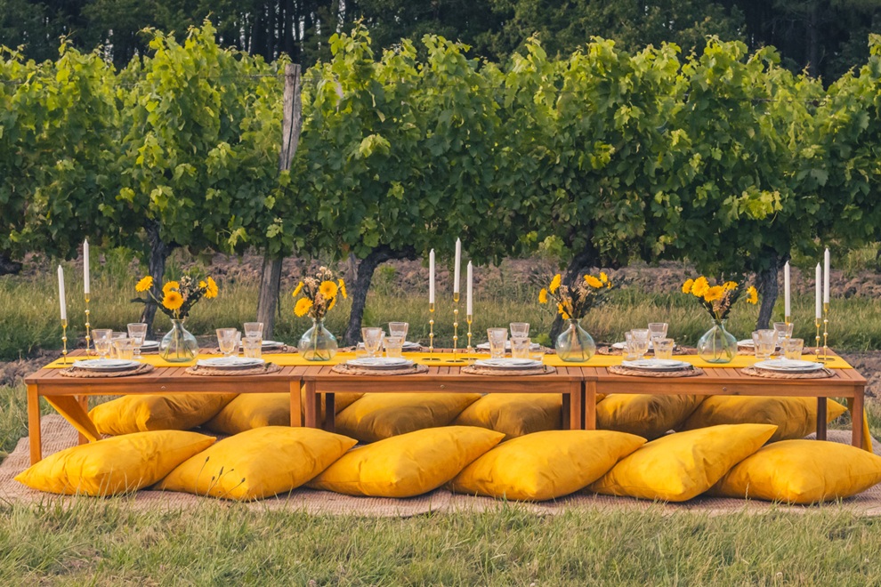 Le Temps d’un Pic Nic dans les vignes