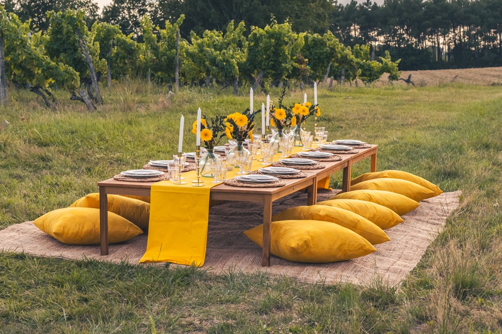 Le Temps d’un Pic Nic dans les vignes