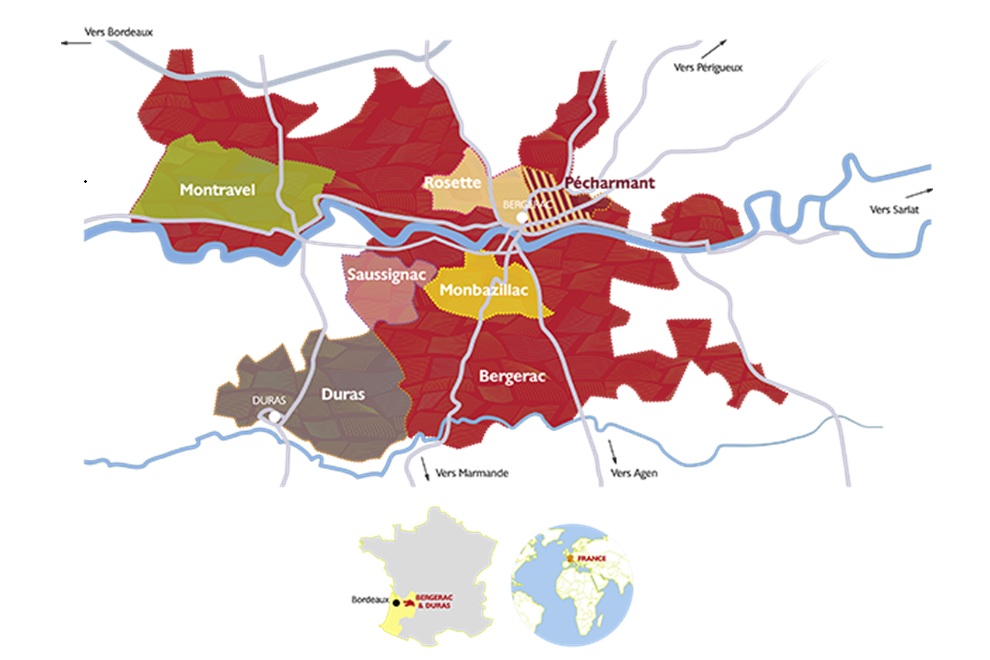 Private Bergerac Vineyard Tour with Guide