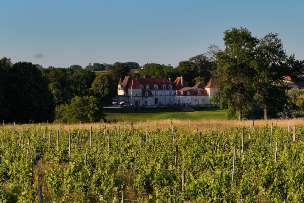 Night scooter ride & tasting