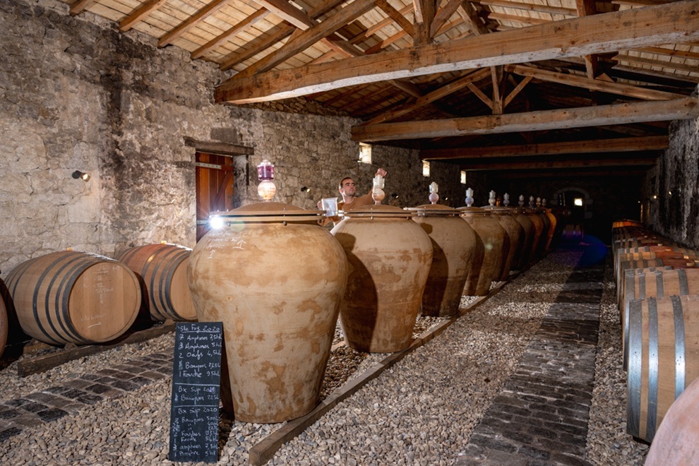 Wine & cheese tasting