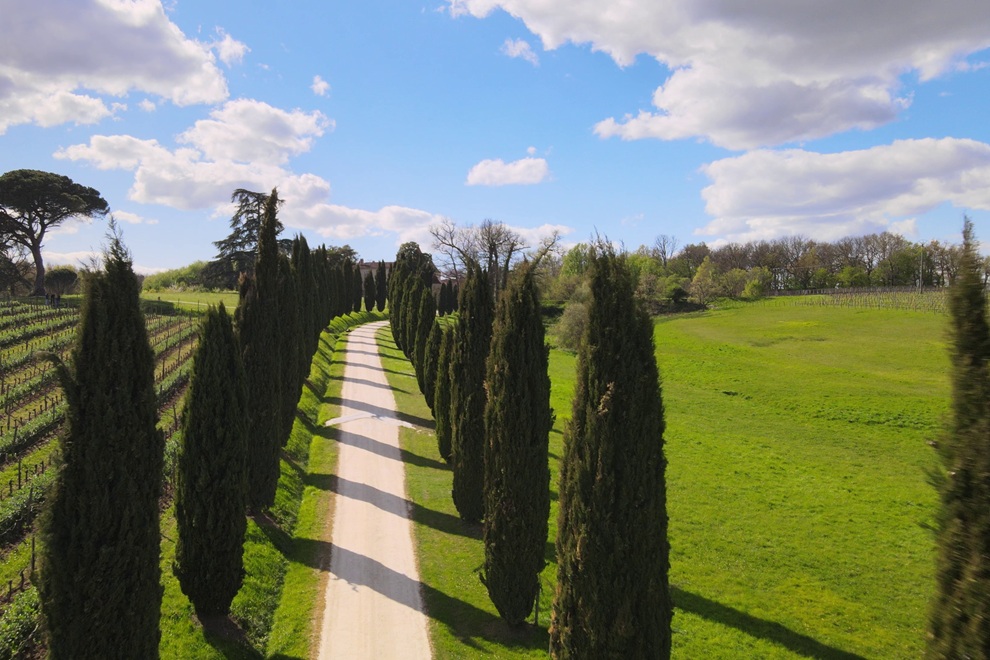 Wine & cheese tasting