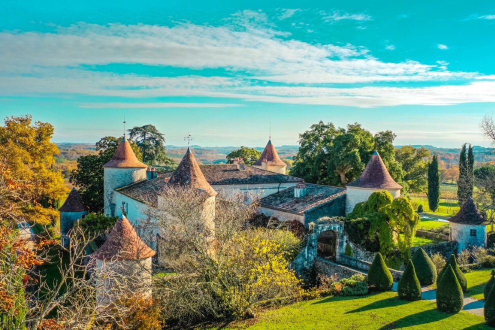 Dégustation vin & fromages