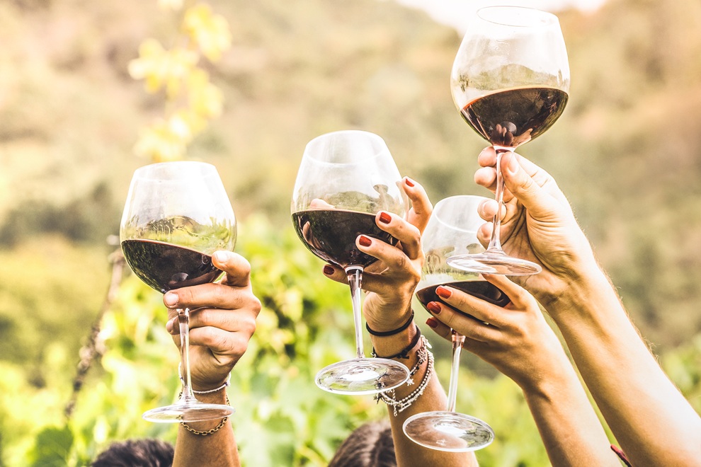 Cheese & wine tasting