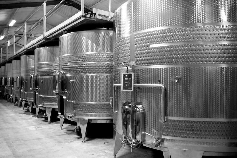 Cellar tour & 5-glass tasting