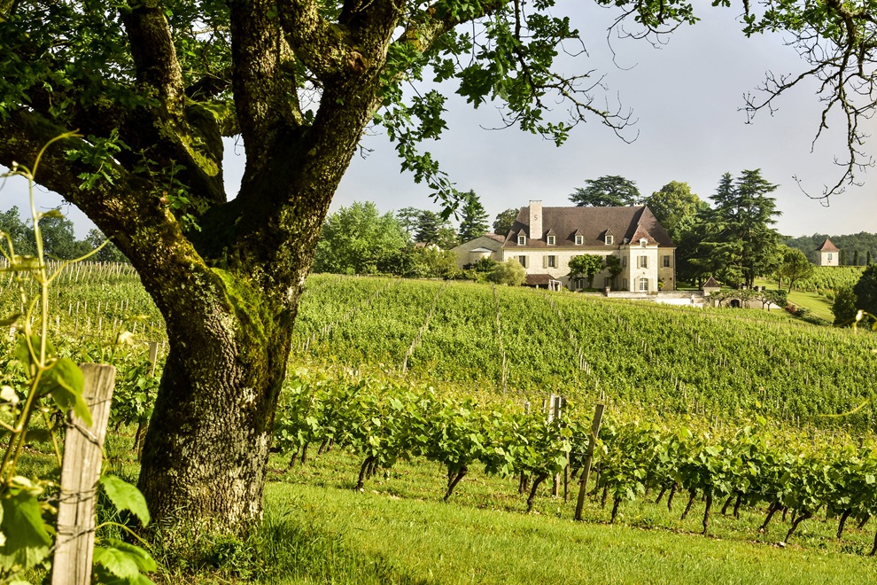 Expérience exclusive & dégustations techniques