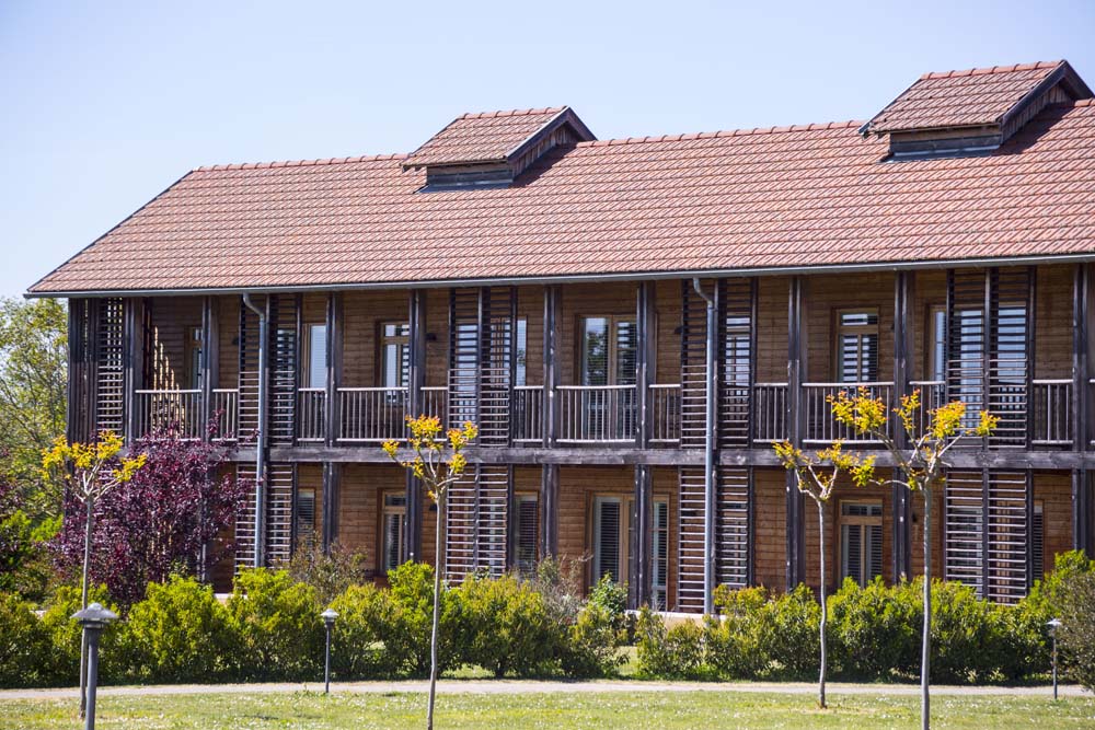 Château Des Vigiers Ideal Place For Relaxation And Well Being In Unwind In France